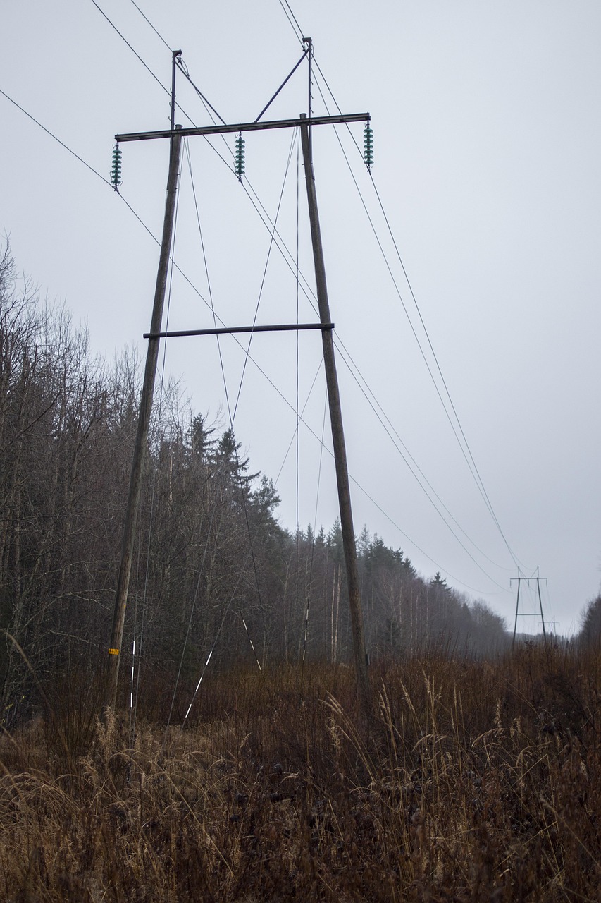 electric, field, autumn, ruska, brown, landscape-5217651.jpg